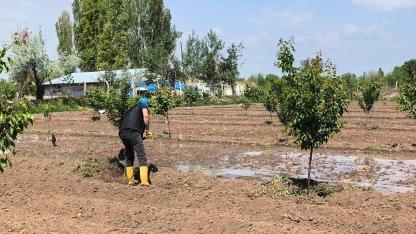 Doğu’nun Çukurovası Iğdır’da Tarım Sezonu Başladı: “Umut Toprakta, Gelecek Tarımda”