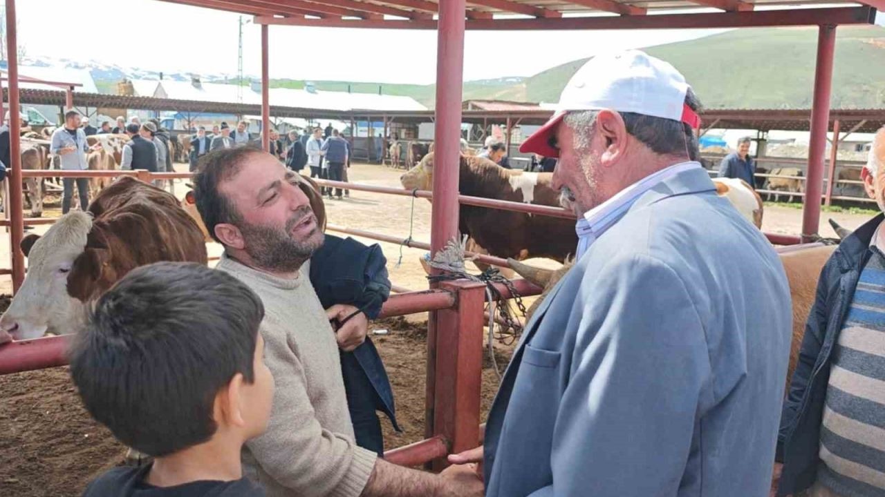 Erzurum Aşkale’de Kurbanlık Fiyatları El Yakıyor