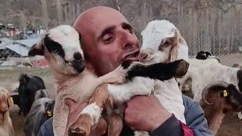Erzurumlu Fenomen Çobandan Yürek Isıtan Görüntüler