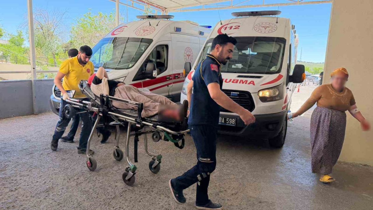Evdeki Yılana Ateş Etti, Çoluk Çocuk 5 Akrabasını Vurdu!
