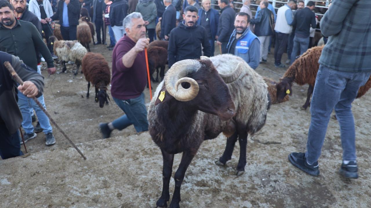 Iğdır’da Arife günü kurban pazarından yoğunluk