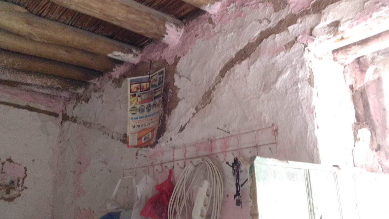 Iğdır'da yılanların çıktığı kerpiç evde 4 kişilik aile yardım bekliyor