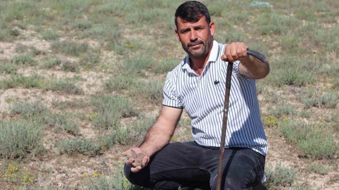 Mantar Toplayarak Ev ve Araba Aldı: Bir Günde 150 Kilo Buldu