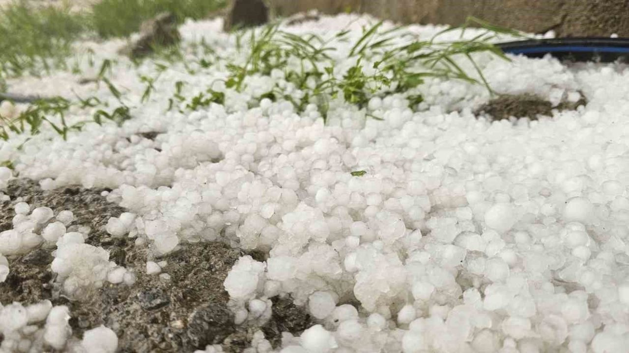 Muş'ta Dolu Yağışı Hayatı Olumsuz Etkiledi: Cadde ve Sokaklar Buzla Kaplandı