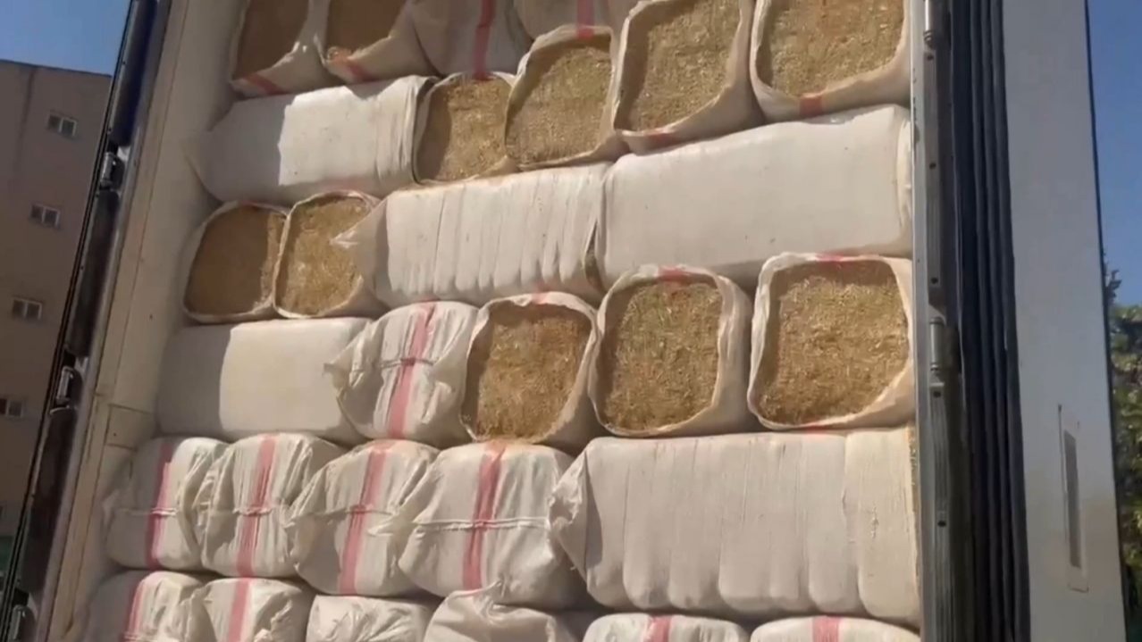 Samanların Arasından Servet Çıktı: 3.5 Milyonluk Operasyon