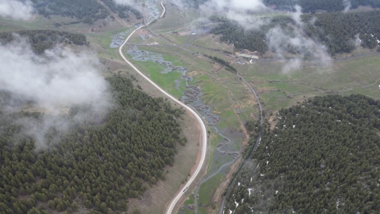 Sarıkamış’ta Görsel Şölen: Sis Bulutları Sarıçam Ormanlarını Masal Diyarına Çevirdi
