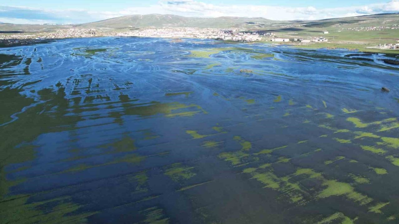 Sular Altında Kalan Ardahan Ovası Havadan Görüntülendi: Ortaya Eşsiz Manzaralar Çıktı