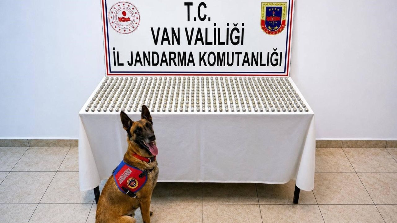 Uyuşturucu Kapsüllerini Yutan 8 İran Uyruklu Şüpheli Gözaltında