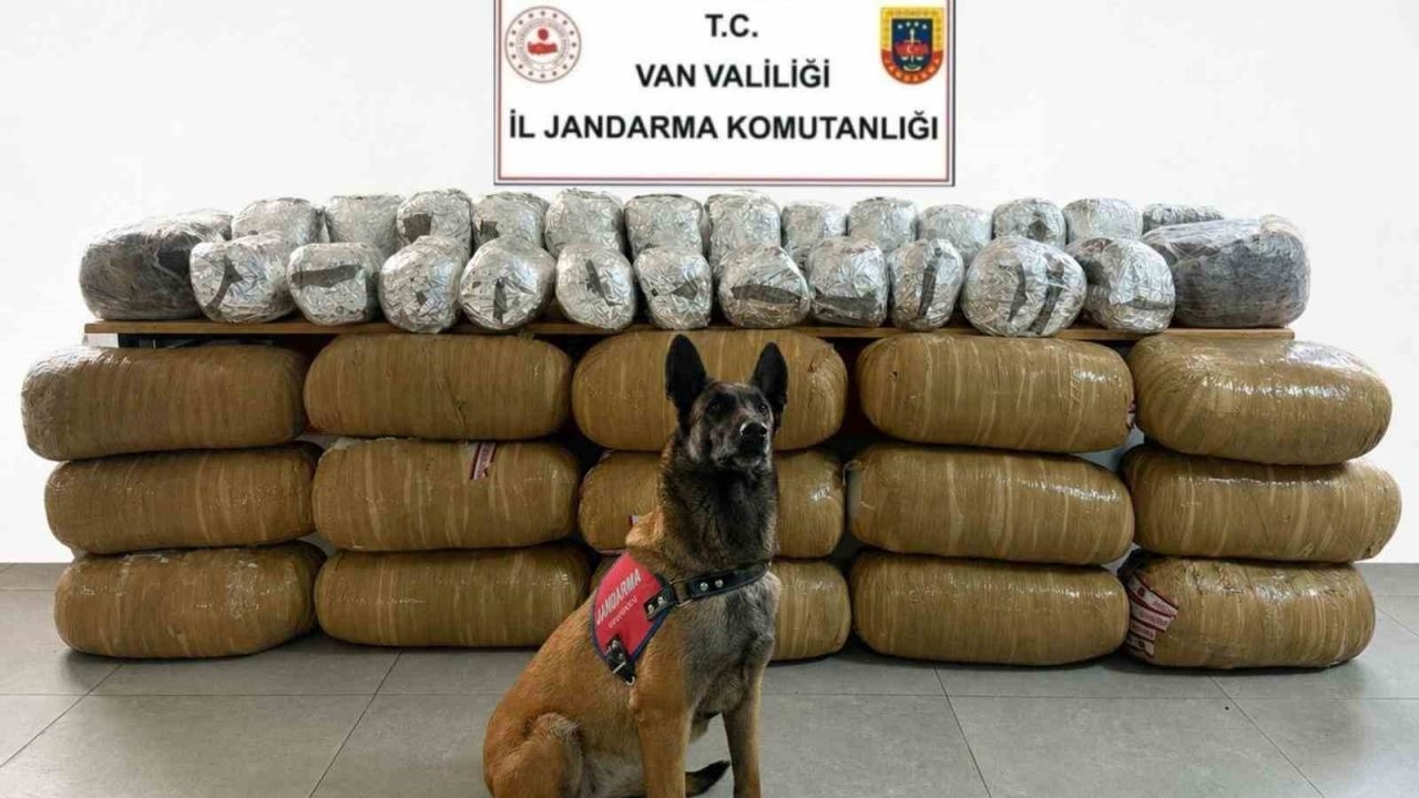Van'da Dev Narkotik Operasyonu: 443 Kilo Uyuşturucu Yakalandı