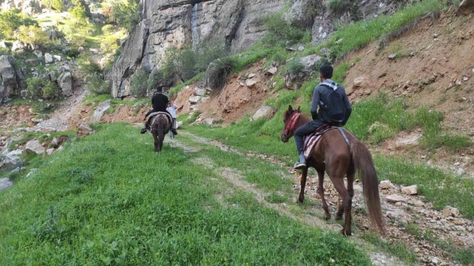 "Zuzuk", "Gülük", "Soras"... Sason Dağlarından Şifa Fışkırıyor!