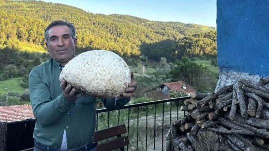 5 Kilo 102 Gramlık Mantar: "İlk Defa Böylesini Gördüm"