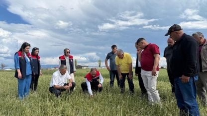 Kars Akyaka'da Dolu Afeti: Tarım ve Orman Müdürü Enver Aydın Hasar Bölgesinde