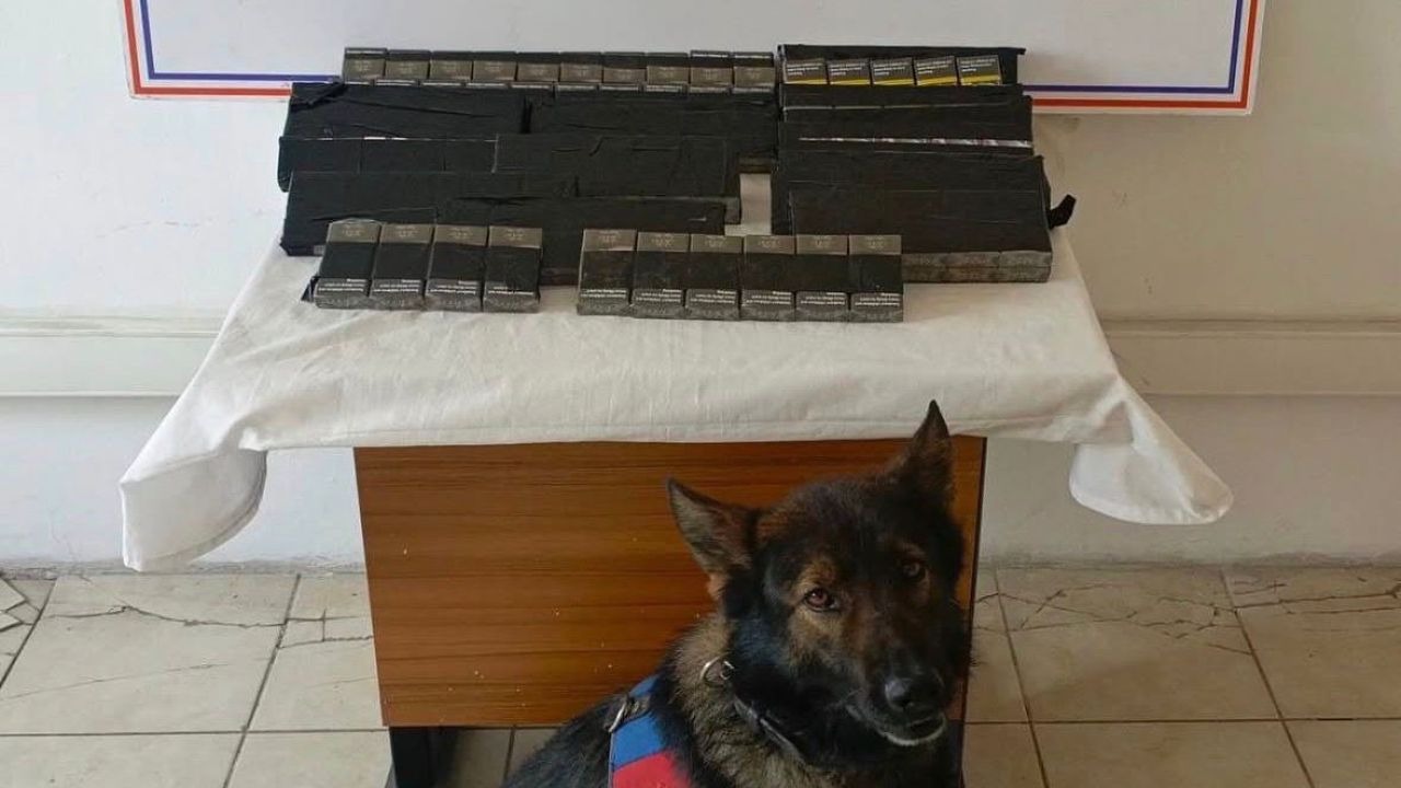 Ağrı’da 5607 Sayılı Kanuna Muhalefet: 180 Paket Gümrük Kaçağı Sigara Ele Geçirildi