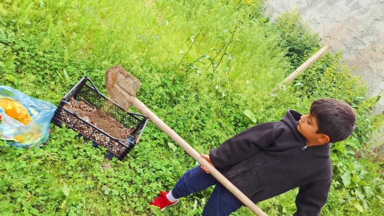Ağrı’da Minik Ellerden Dev Adım: Anasınıfı Öğrencileri Organik Atıklardan Kompost Üretti