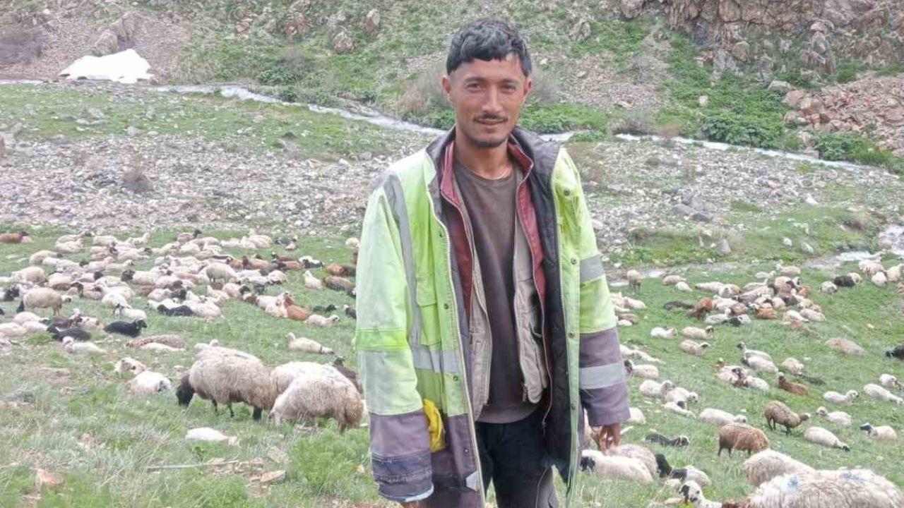 Ağrı'daki Yayla Cinayetinde Flaş Gelişme: Katil Zanlısı Yakalandı