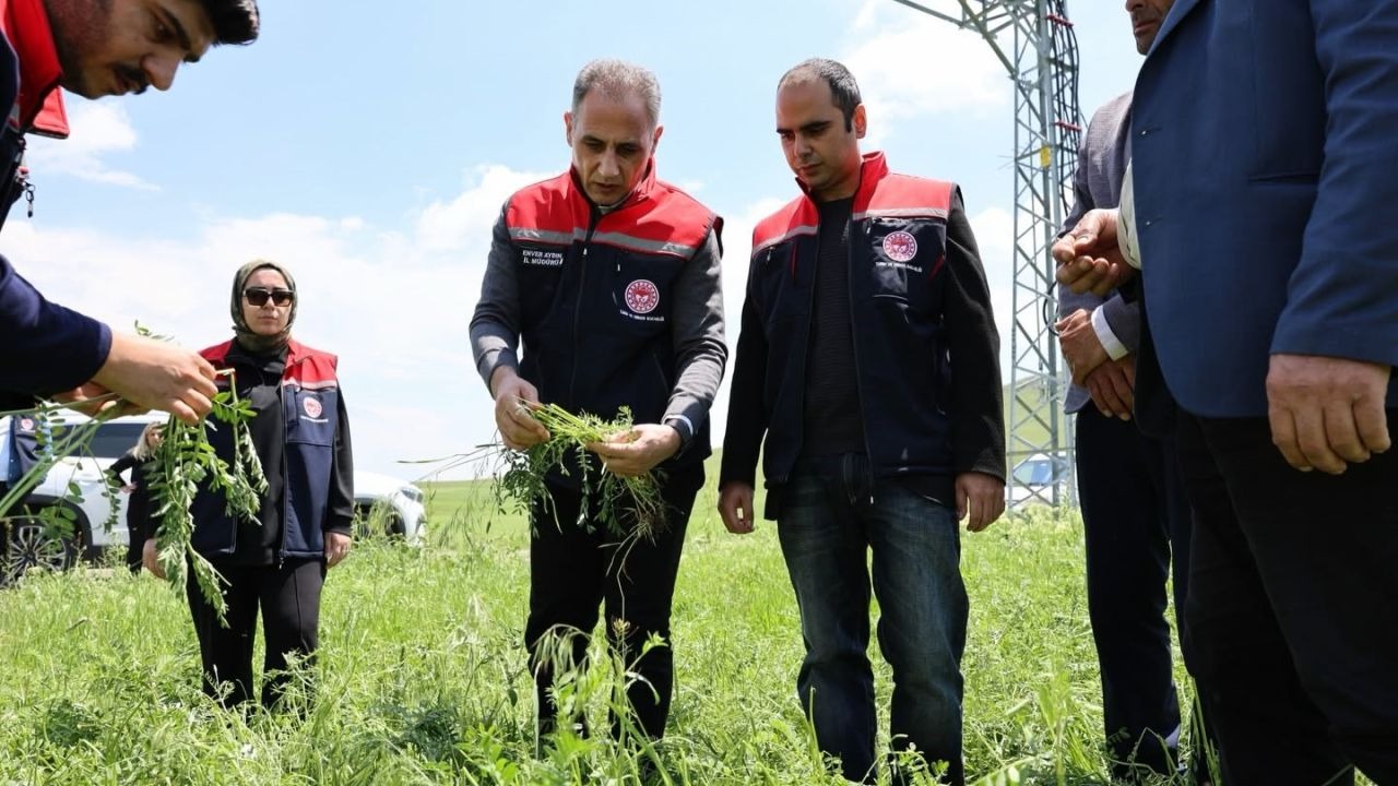 Akyaka'da Tarımı Vuran Dolu Afeti: Hasar Tespit Ediliyor