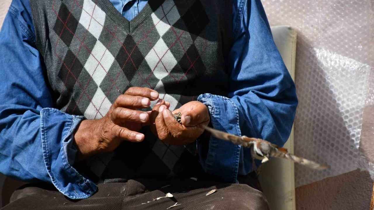 Ardahan’da Görülmemiş Dostluk: 6 Yıldır Serçeleri Elleriyle Besliyor