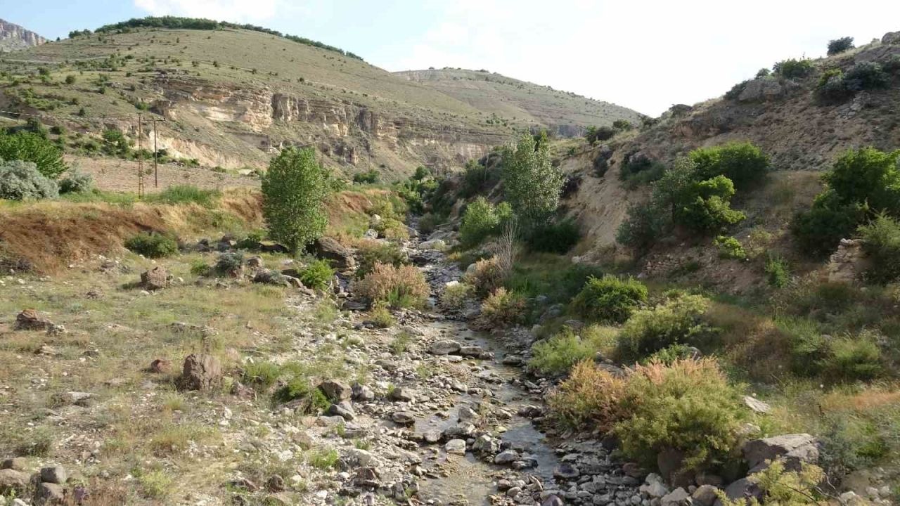 Bakan Gürlek Açıklamıştı: Cinayete Kurban Giden Aysel İçin Dağlar Aranıyor
