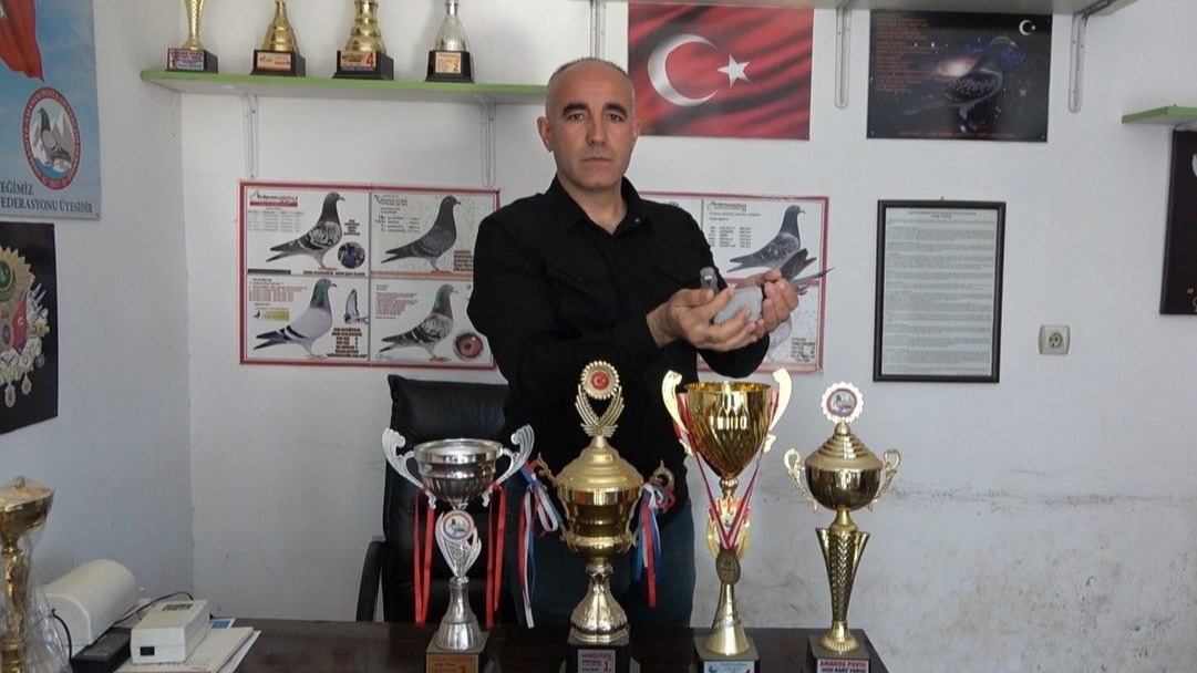 Ermenistan sınırından bırakılan güvercin bin kilometre yolu bir günde katederek evine döndü