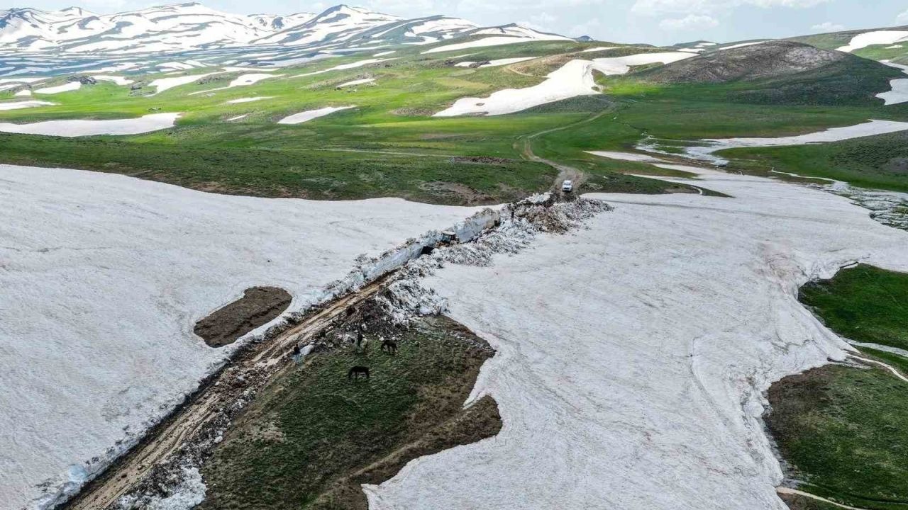Gürpınar'da Hayvancılar İçin Dev Seferberlik: Tırşin ve Feraşin Yayla Yolları Ulaşıma Açılıyor
