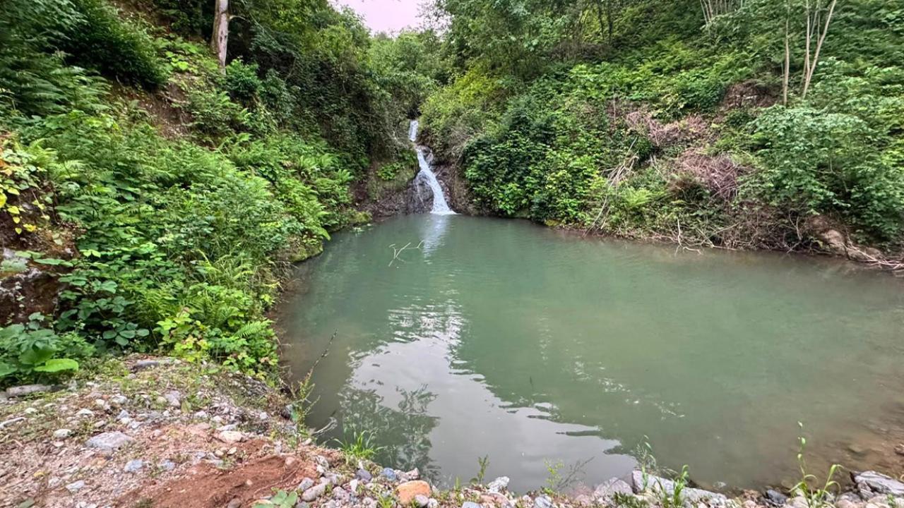 Iğdır Üniversitesi Öğrencisi Serinlemek İçin Girdiği Gölette Boğuldu