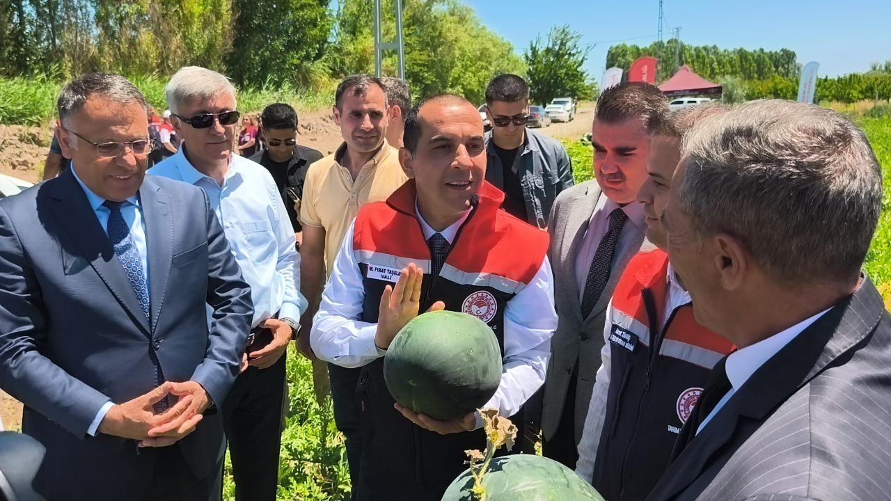 Iğdır'da İlk Karpuz Hasadı Yapıldı
