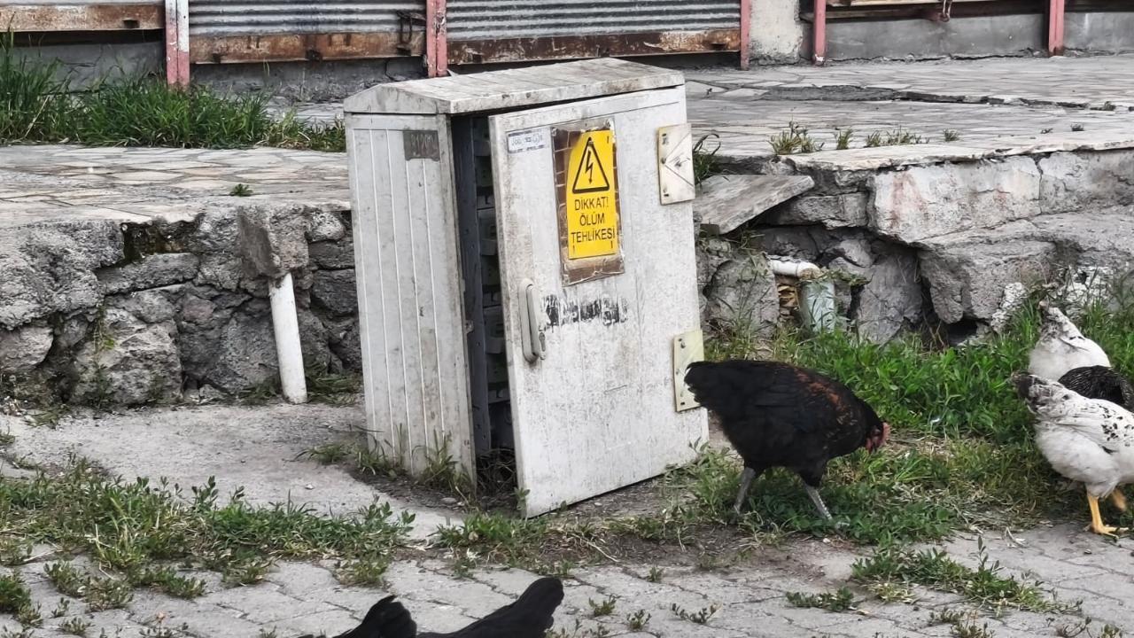 Iğdır’da kapağı açık trafo tehlike saçıyor