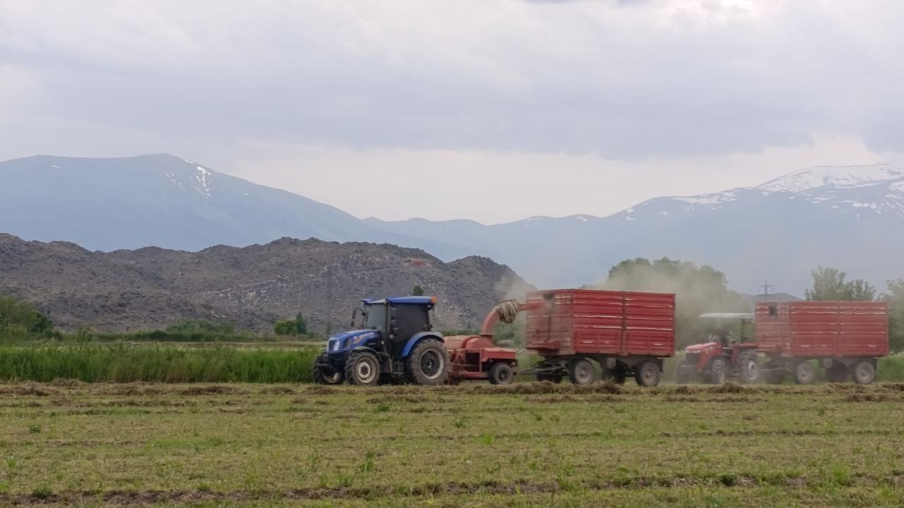 Iğdır’da Yağmur Sonrası Güneş Açtı: Üretici Yonca Hasadına Başladı