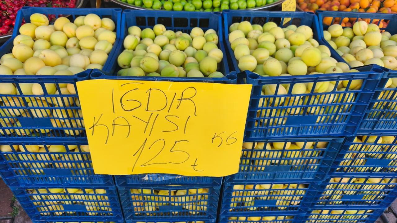 Iğdır’ın Simgesi Kayısı Tezgahlarda