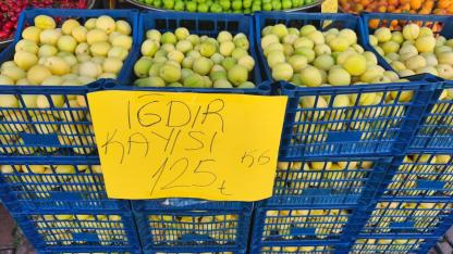 Iğdır’ın Simgesi Kayısı Tezgahlarda