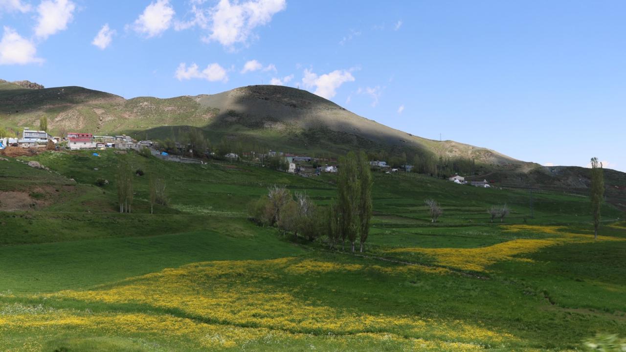 Iğdır'ın Yüksek Kesimleri Çiçeklerle Renklendi