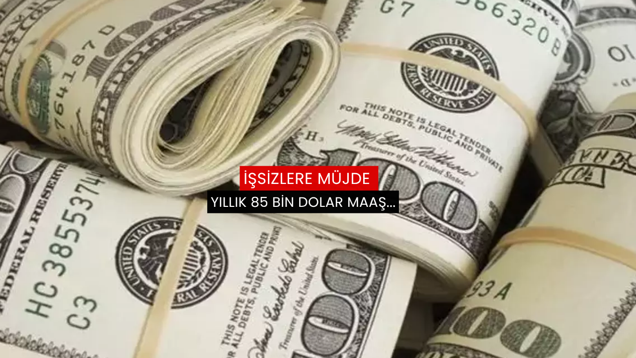 İşsizlere müjde: Yıllık 85 bin dolar maaş...