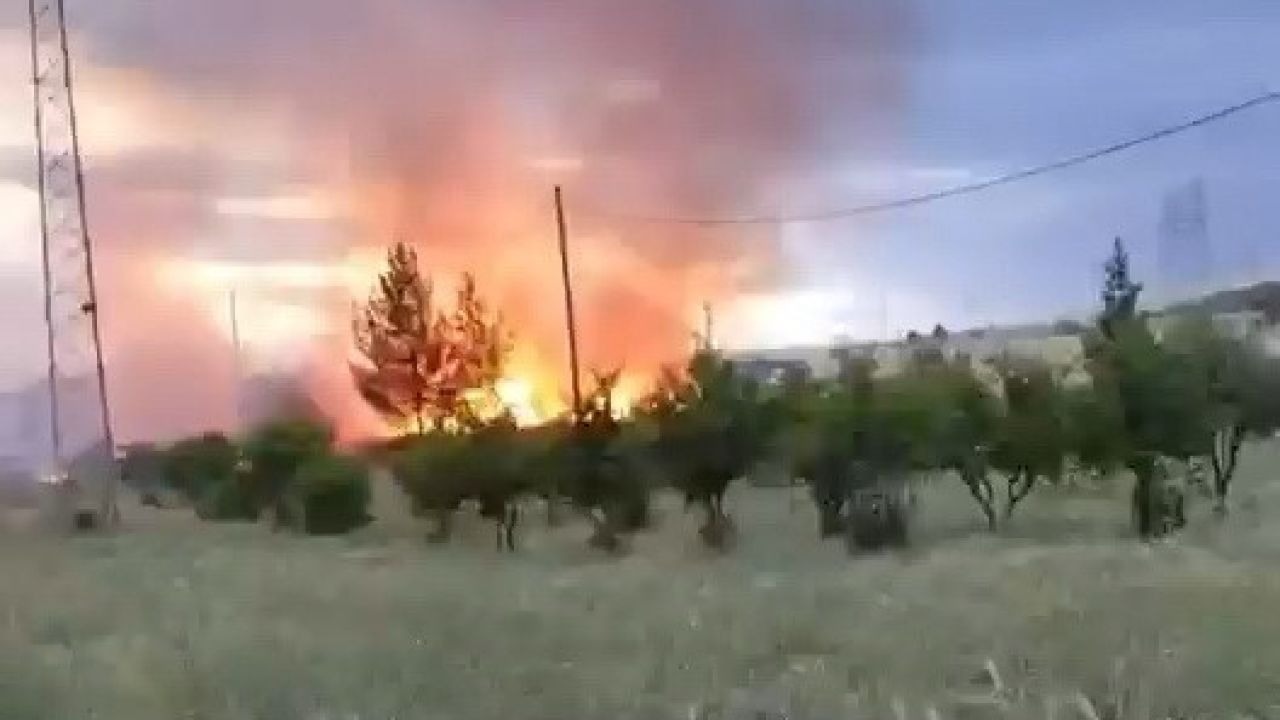Kahta'da Korkutan Yangın: 30 Dönüm Buğday Kül Oldu