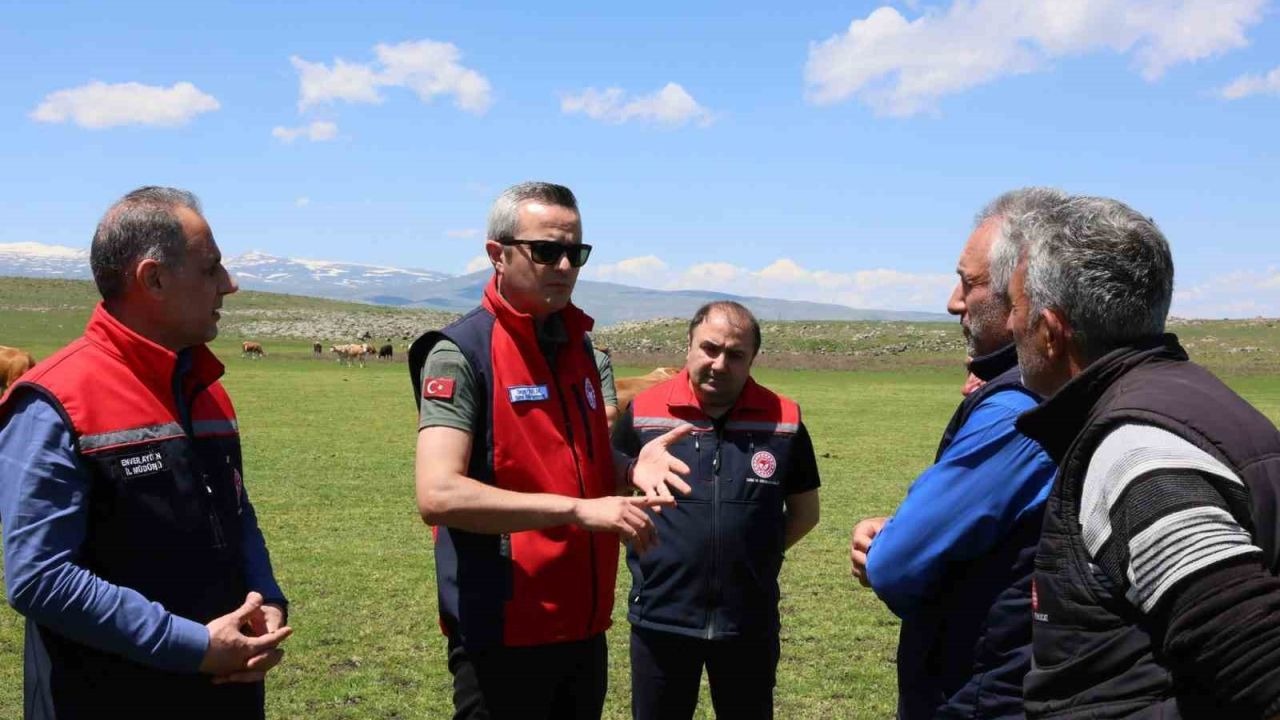 Kars’ın Hayvancılık Geleceği Masaya Yatırıldı: Genel Müdür Yardımcısı Sezai Cibelik'ten Sürdürülebilirlik Vurgusu