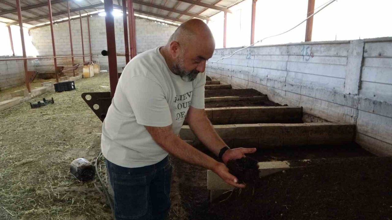 Kimyasala Savaş Açtı: Bahçesinde Solucan Gübresi Üretiyor