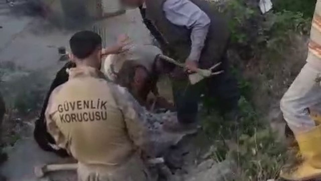 Şırnak'ta Kadına Şiddet İddiası: 2 Şüpheli Yakalandı