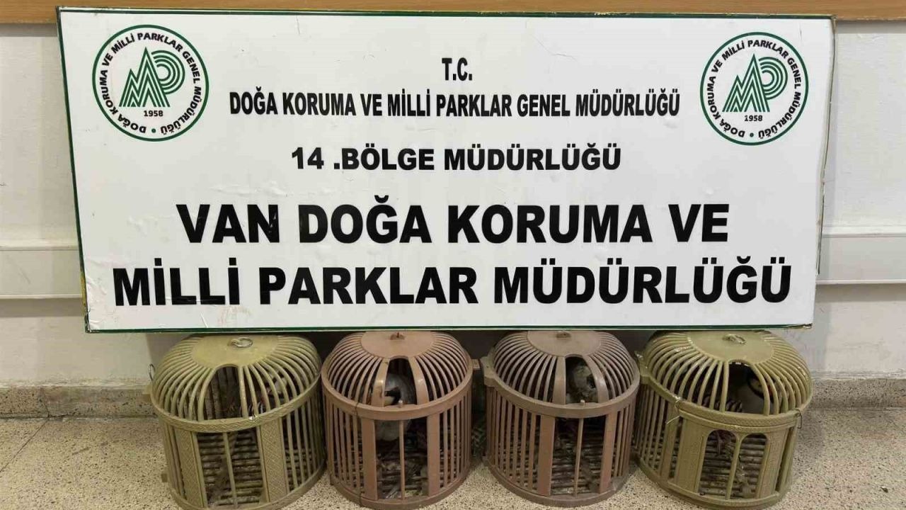 Van’da Kaçak Avcıya Ağır Fatura: Aracından Çıkan 4 Kınalı Keklik İçin 51 Bin Lira Ceza Kesildi