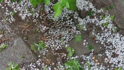 Ardahan'da Şiddetli Dolu Vurdu: Ekili Alanlar Beyaza Büründü