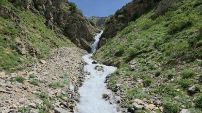 Van’ın Çatak İlçesinde 20 Yıl Sonra Gelen Bereket
