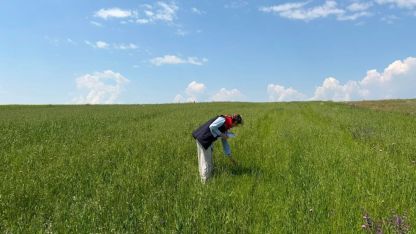 Kars’ta Yem Bitkileri Destekleme Çalışmaları İçin Arazi Tespitleri Başladı