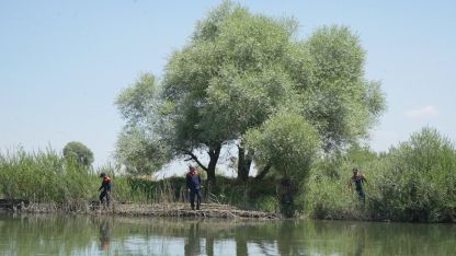 Muş’ta Murat Nehri’ne düşen 10 yaşındaki Berat için arama çalışmaları üçüncü gününde