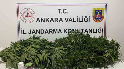 Ankara'da Narkotik Operasyonu: Kenevir Ele Geçirildi