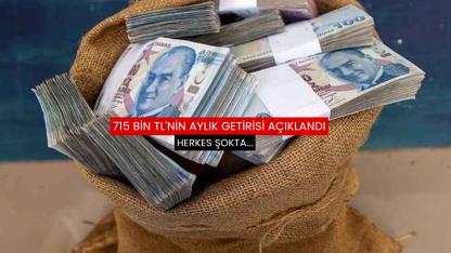 715 Bin TL'nin aylık getirisi açıklandı