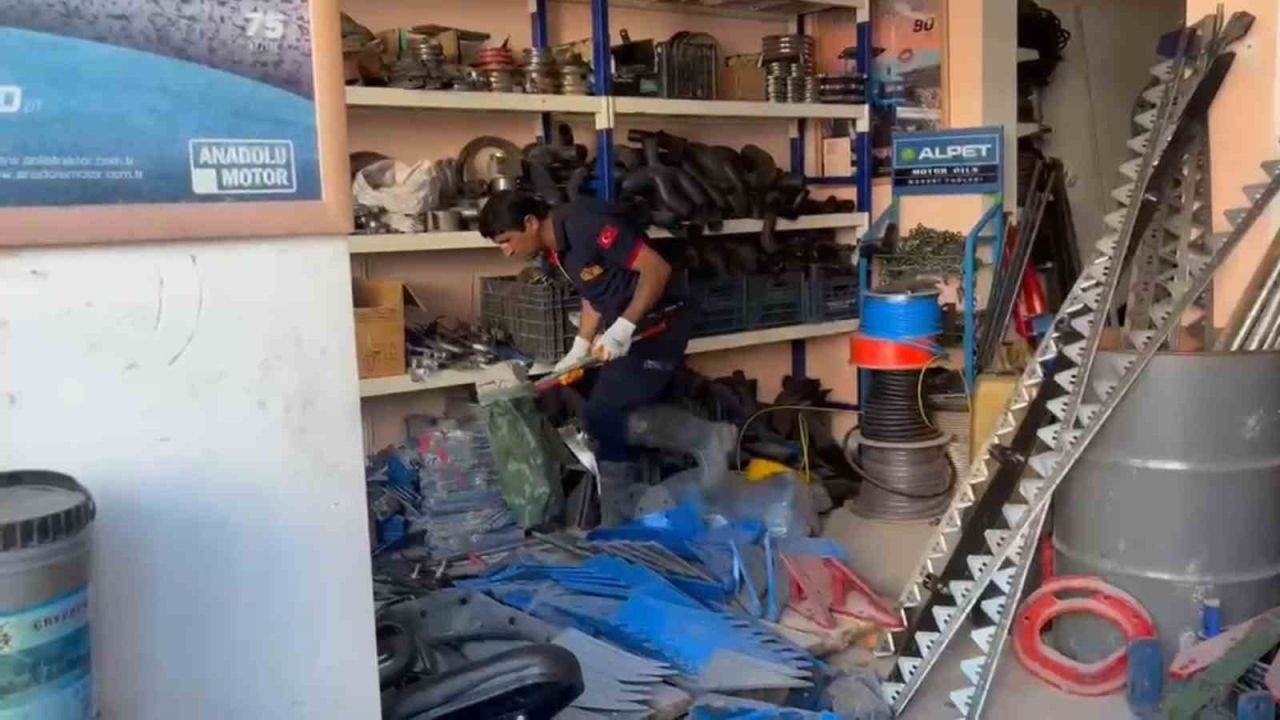 Adilcevaz’da iş yerine giren yılan ekipleri harekete geçirdi
