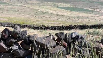 Ağrı Dağı Eteklerinde Nadir Görülen Tür Kameraya Yansıdı