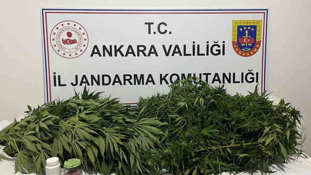 Ankara'da Narkotik Operasyonu: Kenevir Ele Geçirildi