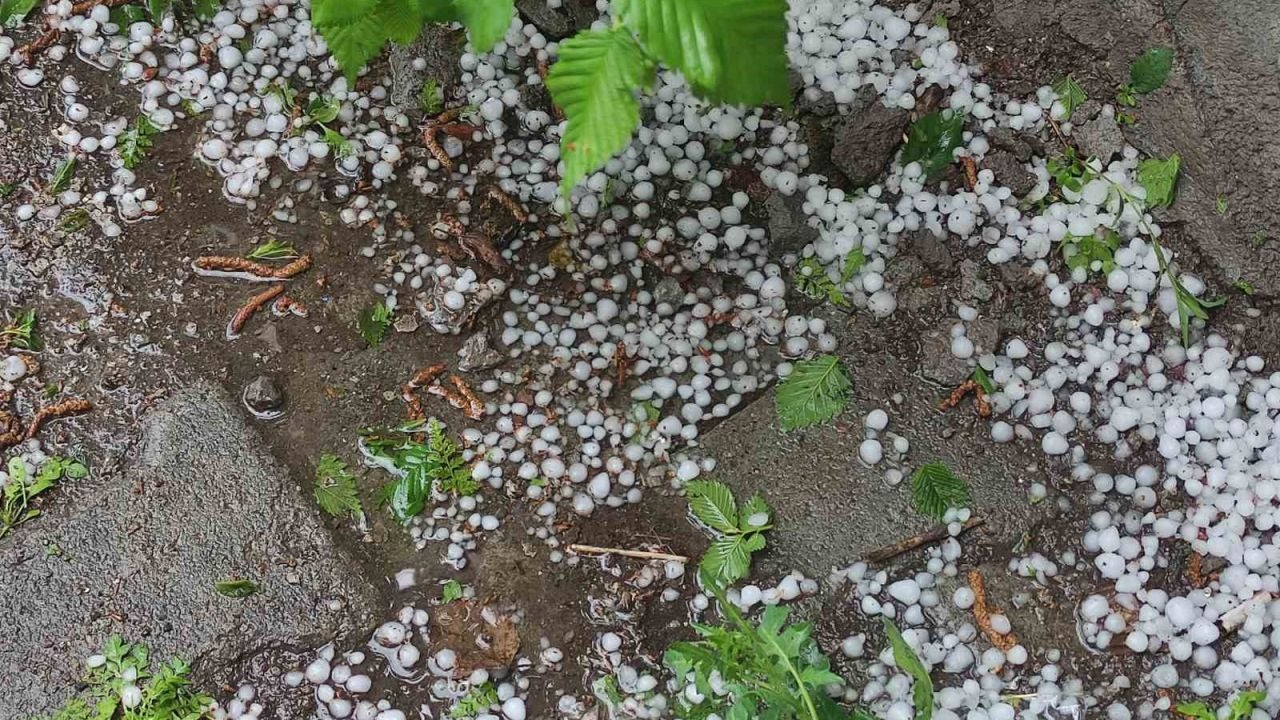 Ardahan'da Şiddetli Dolu Vurdu: Ekili Alanlar Beyaza Büründü