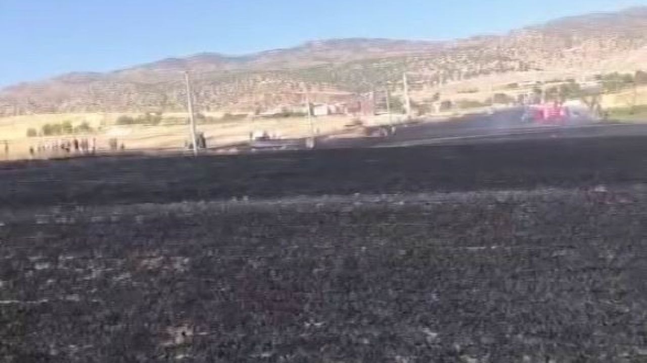 Diyarbakır’da 100 dönümlük alan alevlere teslim oldu