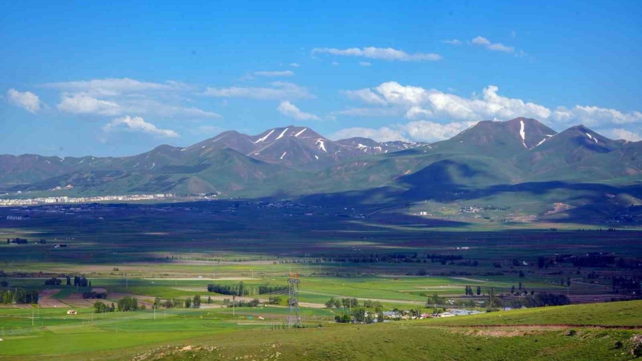 Erzurum’un Tarımsal Üretim Raporu: Üretim Kapasitesinde Karma Tablo