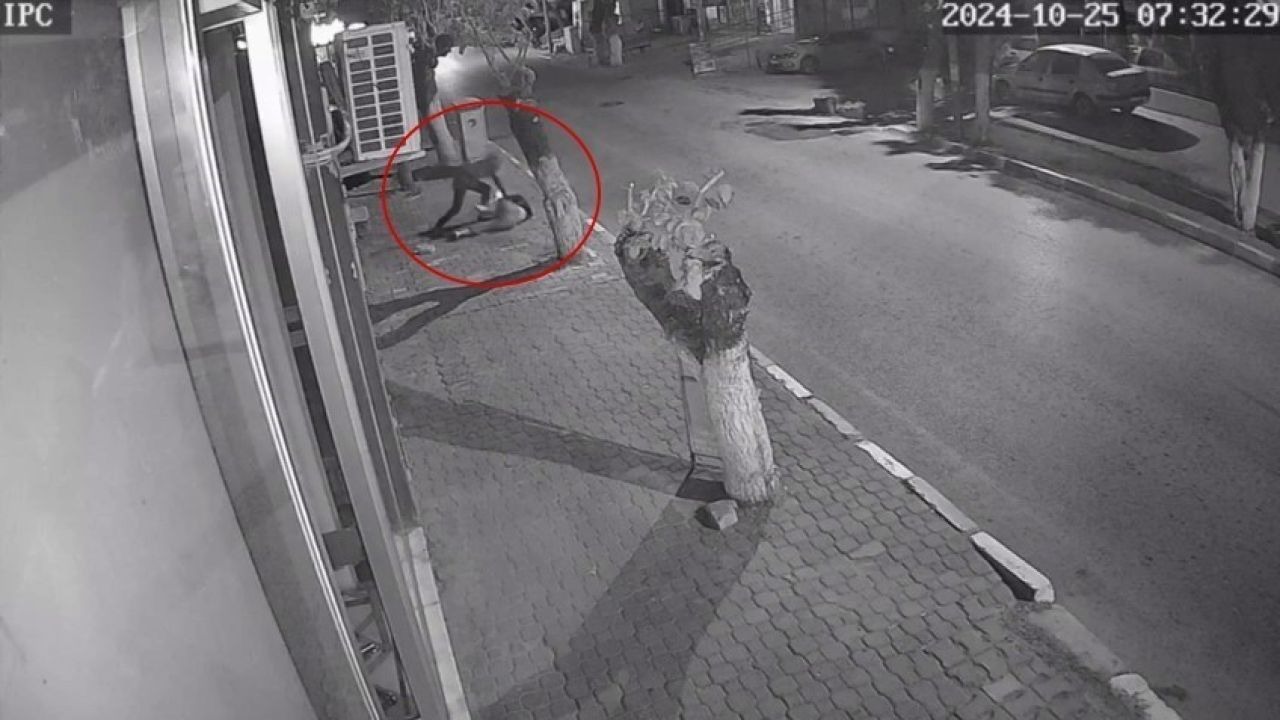 Genç Kızı Parçalayan Takıntılı Saldırgan Hakkında Şok Karar